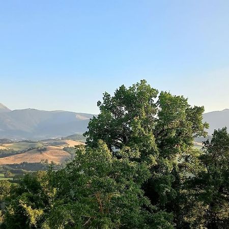Pigno, Appartamento In Campagna Кальи Экстерьер фото