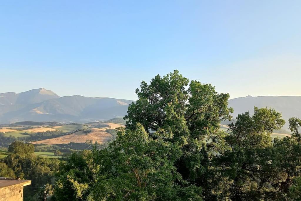 Pigno, Appartamento In Campagna Кальи Экстерьер фото
